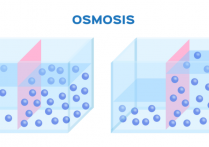 광학 - 개념, 유형, 중요성 및 예
