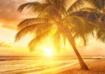 햇빛 - 개념, 구성, 이점 및 위험