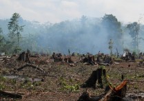 환경 악화 - 개념, 원인 및 결과