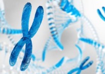 염색체 - 개념, 구조, 유형 및 기능