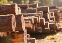 유기물 - 개념, 유형, 특징 및 예