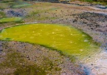 산성비 - 개념, 원인, 영향 및 산성비를 막는 방법