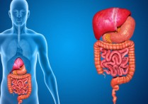 생물학에서의 시스템 - 인체의 개념과 시스템