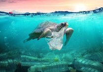 환경 문제 - 예제, 원인, 예방 방법