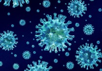 미생물 - 개념, 유형, 특징 및 예