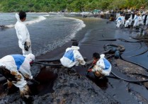 환경 비상 – 개념, 원인, 조치 및 사례