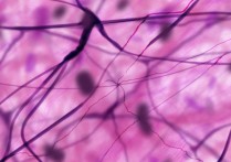 통합 조직 - 개념, 유형 및 기능