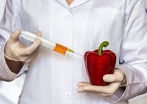 유전자 변형 생물 - 개념, 유형, 장점 및 예