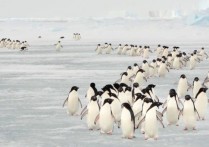 자연 현상 - 개념, 원인, 분류 및 예제