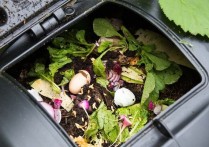 생분해 재료 - 그것들은 무엇입니까, 중요성과 예