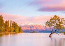 생물학의 개체 - 개념, 예제, 사람들, 커뮤니티