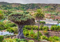 특유 종 - 그것은 무엇입니까, 예 및 기타 종