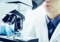 미생물학 - 개념, 분류, 분기, 중요성