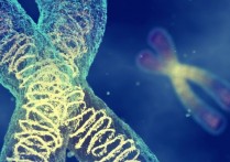 유전적 염색체 이론 - 개념과 배경