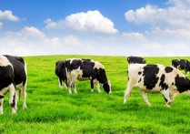 외래종 - 개념, 예제 및 본토종