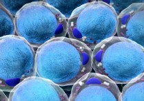 대사 - 개념, 유형, 단계 및 기능