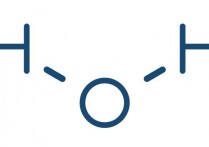 공유 링크 란 무엇입니까? - 개념, 유형 및 예제