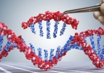 유전자 변형 생물 - 개념, 용도, 예