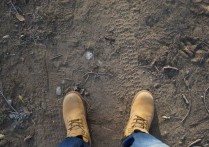 비 생물 적 요인은 무엇입니까?개념, 화학 요인 및 물리적 요인