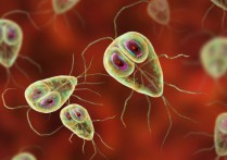 원생동물 - 개념, 유형, 특징과 예