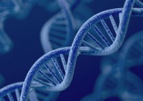 상속 - 개념, 유형, 중요성 및 예