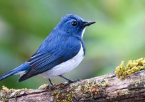 생물개념 - 유형, 예시, 인간