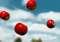 중력 - 개념, 측정, 단위 및 예