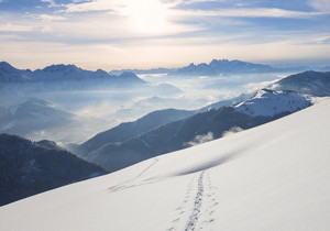 부조리주의： 정의、부조리주의 대 실존주의