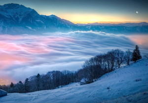 토론：토론의 정의、토론 가이드 작성 방법